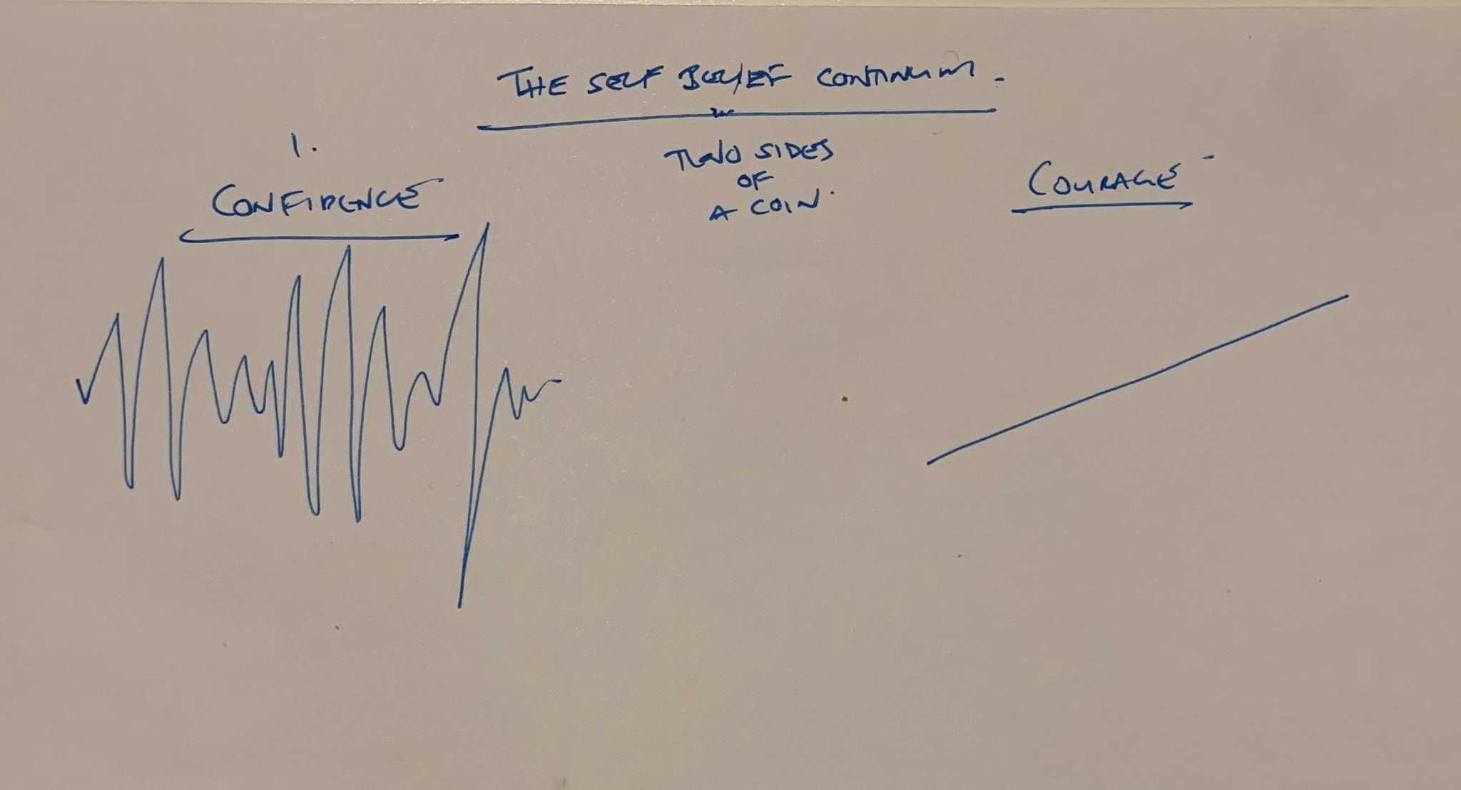 Text - The Self Belief Continuum