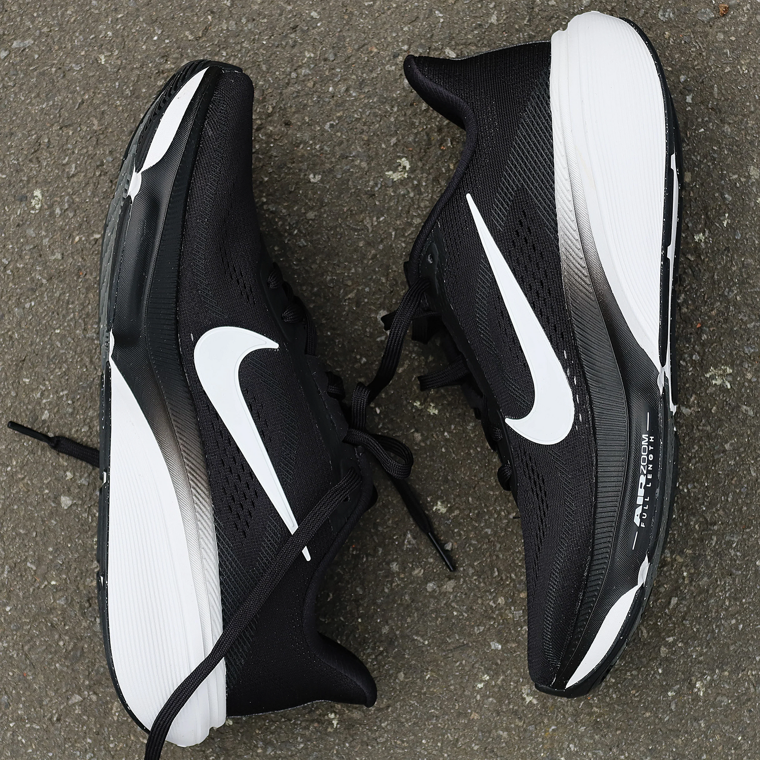 Nike Pegasus 42