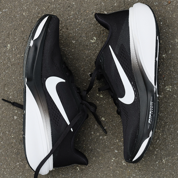 Nike Pegasus 42