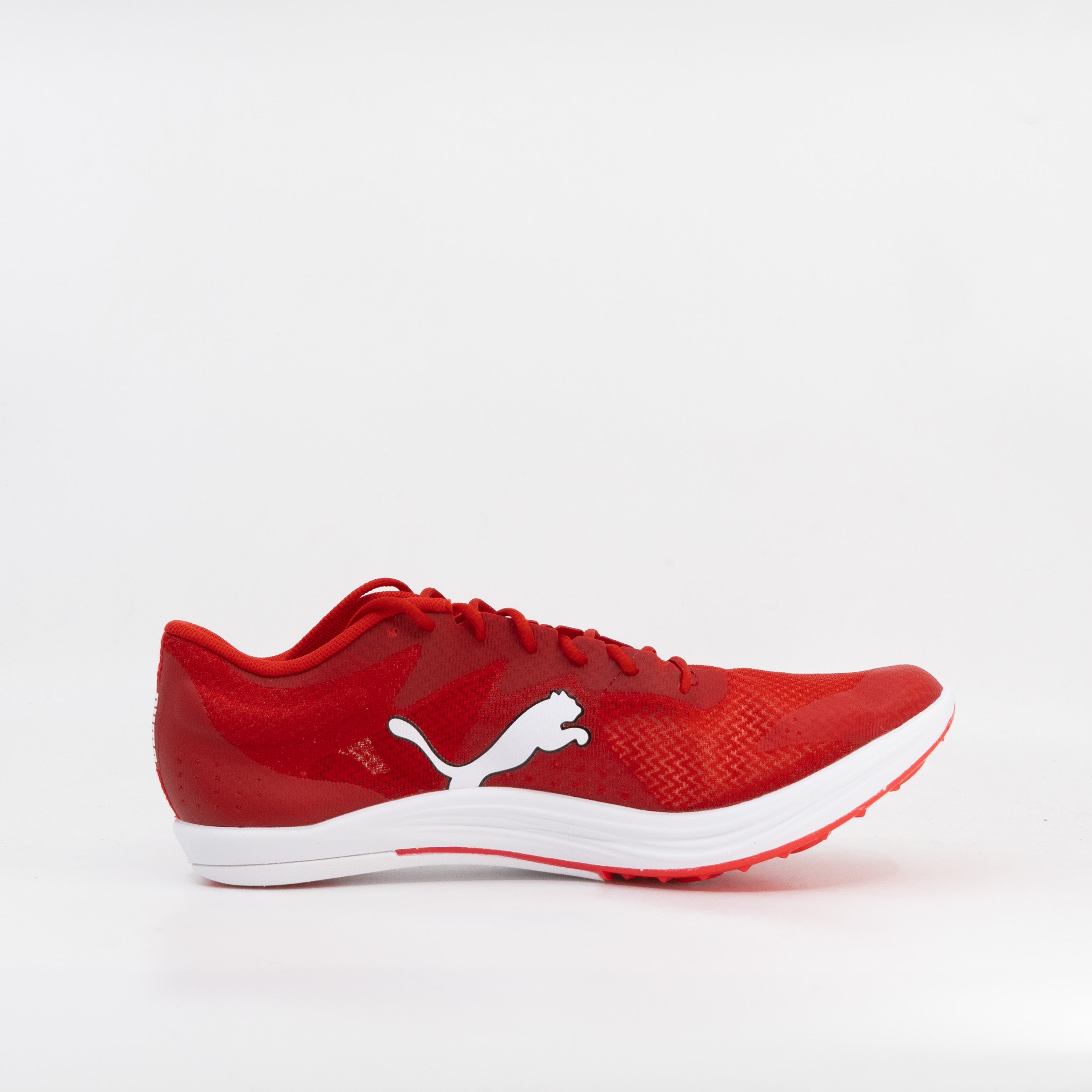 Puma evoSPEED Long Distance (D Standard) Mens Red - Frontrunner Colombo