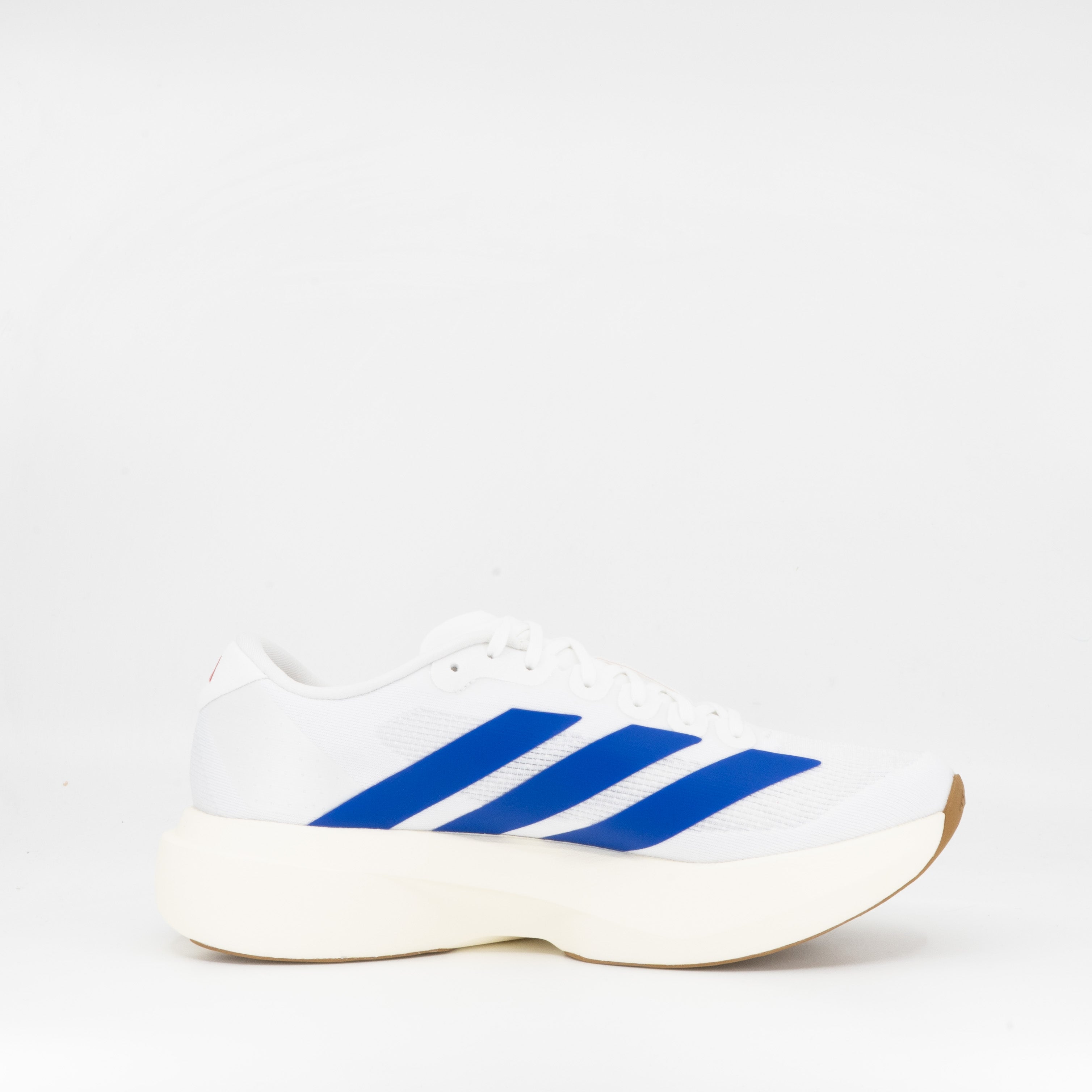 Adidas adizero Evo SL (D Standard) Mens Cloud White / Royal Blue / Pure Ruby - Frontrunner Colombo