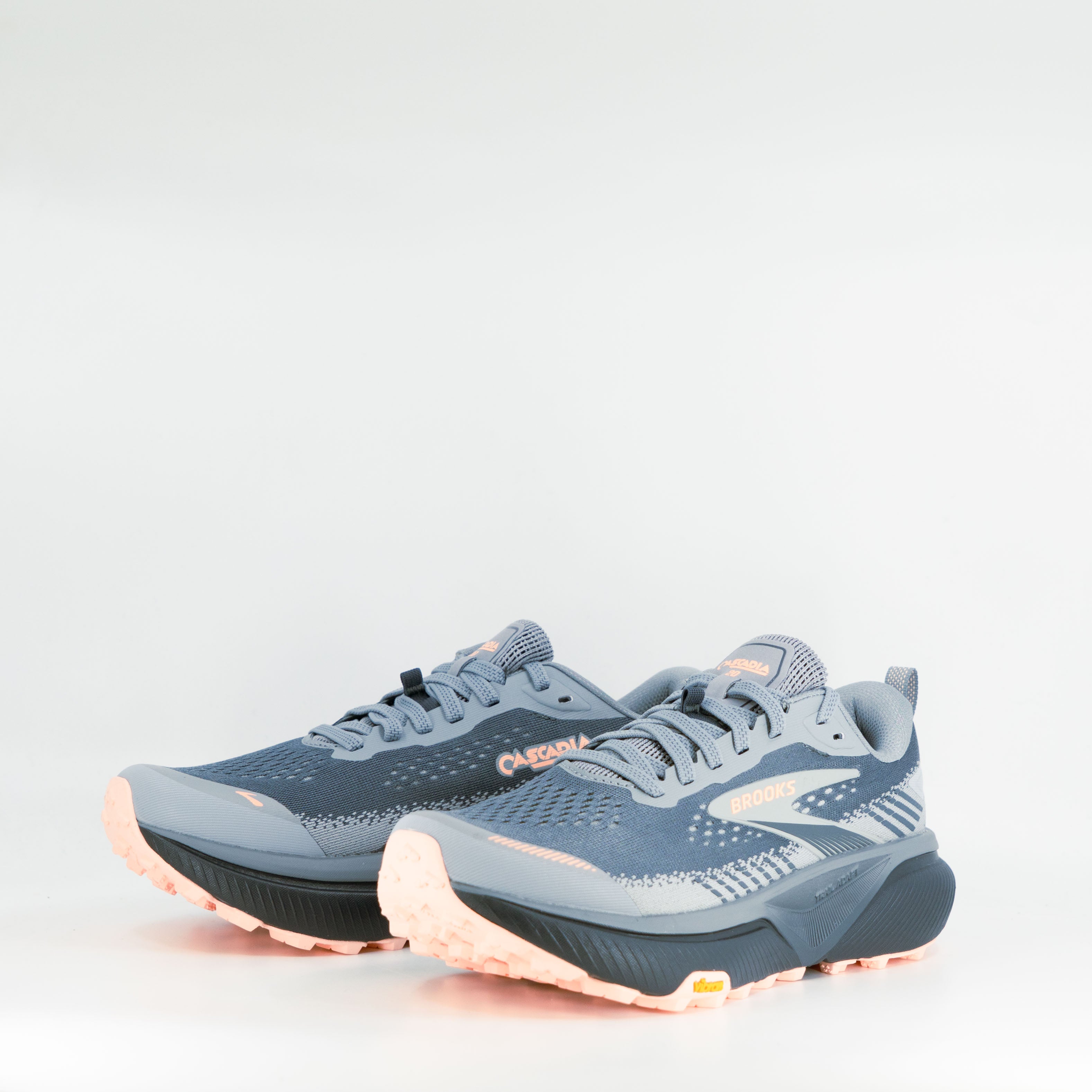 Miuzno Neo Daichi 10 (B Standard) Womens Dapple Gray/Wild Wind/Vulcan
