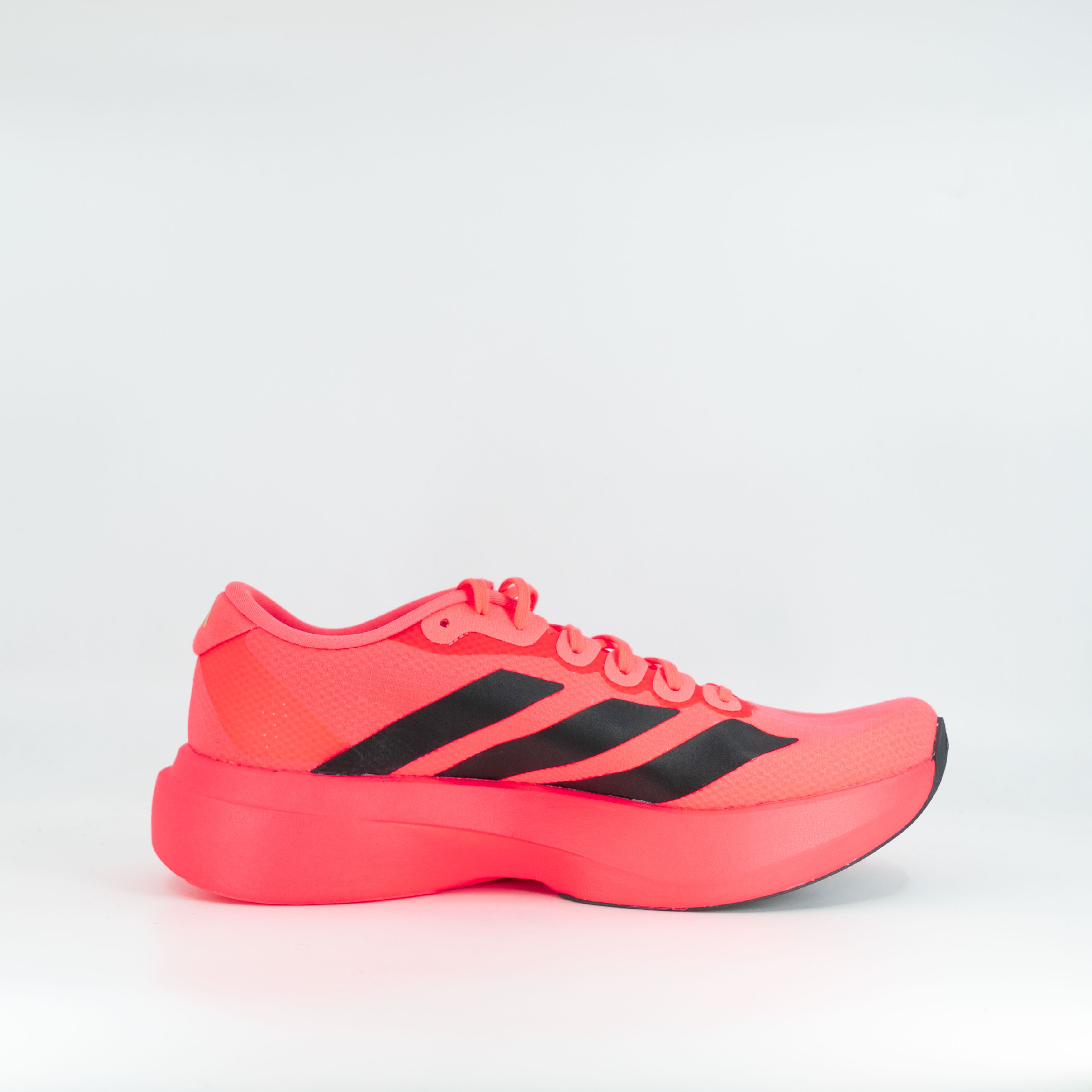 Adidas Adizero Evo SL Woven (D Standard) Mens Solar Turbo/Core Black/Carbon - Frontrunner Colombo