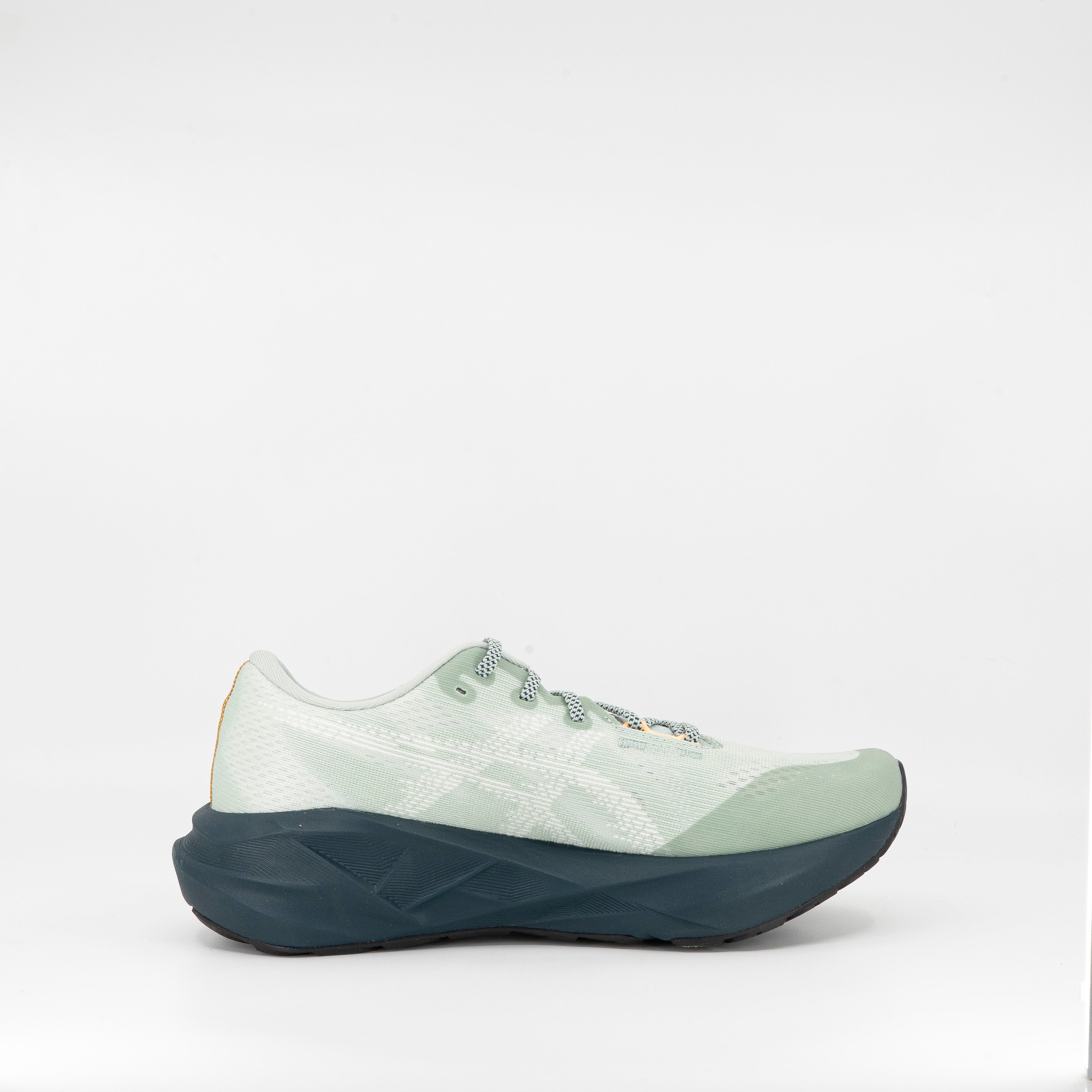 Asics Novablast 5 TR (D Standard) Mens Nature Bathing/Lichen Rock - Frontrunner Colombo