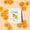 PURE Electrolyte Hydration 500g - Frontrunner Colombo