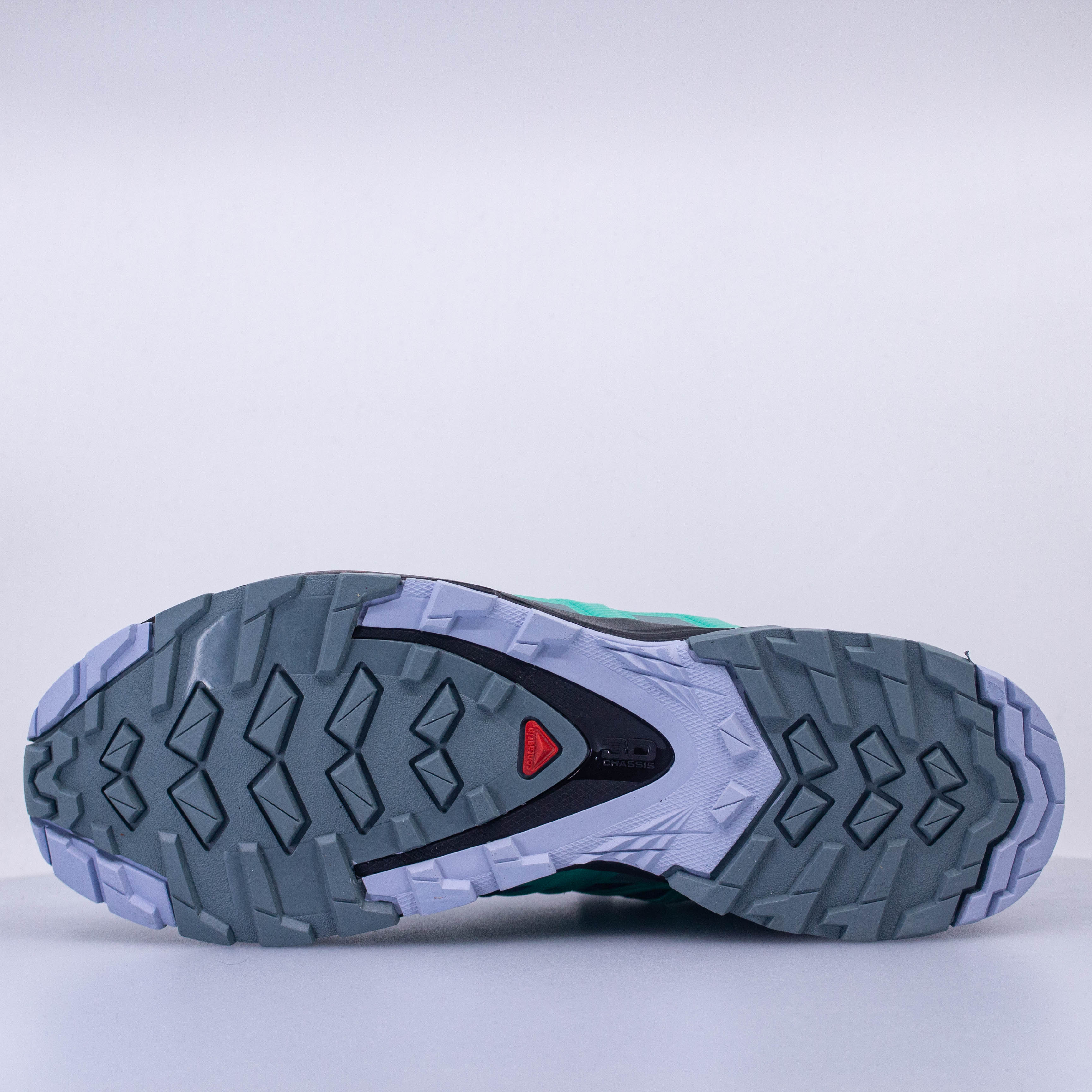 Salomon XA Pro 3D v8 GTX Womens (B Standard) - Frontrunner Colombo