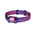 Fenix HM55R Rechargeable Headlamp (1200 lumens) - Frontrunner Colombo